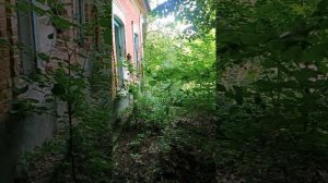 старая усадьба