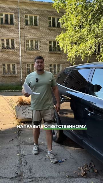 Упало дерево на авто. Порядок возмещения ущерба