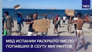 МВД Испании раскрыло число попавших в Сеуту мигрантов