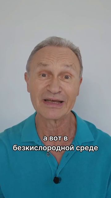 Уровень ферритина