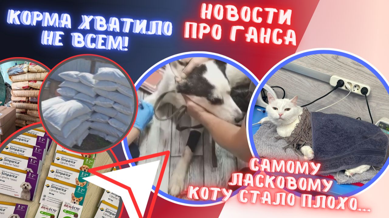 Корм приехал, но беды не кончаются. Ганс и Филипп..