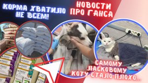Корм приехал, но беды не кончаются. Ганс и Филипп..