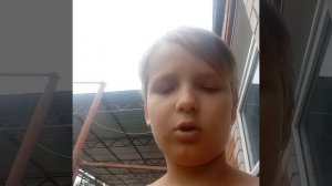 курочки