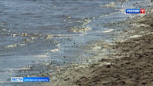 Граждан просят не купаться в реке Чепце в Кирово-Чепецке