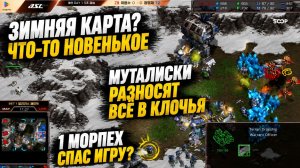 НОВАЯ ЗИМНЯЯ КАРТА!! Как на ней вообще играть зергу soO и террану JyJ в StarCraft Remastered