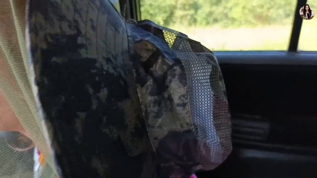 Тихая охота сорвалась: как мы съездили за грибами и ничего не нашли