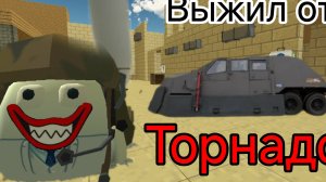выжил от торнадо в чикен Гане