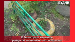За неубранные автошины придется ответить в суде