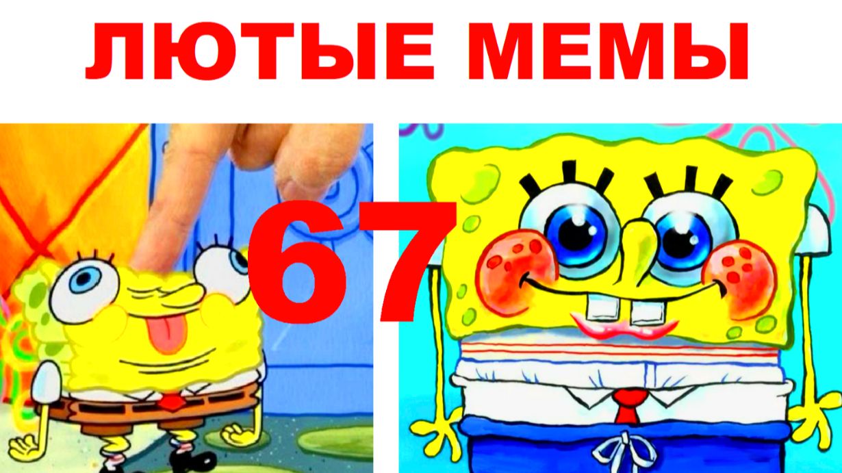 Лучшие мемы интернета