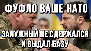 ФУФЛО ВАШЕ НАТО! ЗАЛУЖНЫЙ НЕ СДЕРЖАЛСЯ И ВЫДАЛ БАЗУ / ТАМИР ШЕЙХ новости сводки