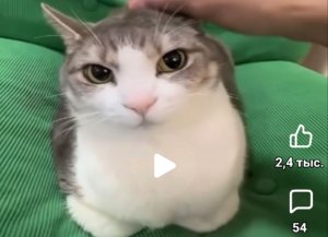 phobos 3%