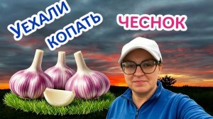 НАДО ВСЁ УСПЕТЬ 😍 ПОЕХАЛИ КОПАТЬ ЧЕСНОК 🧄 СОБИРАТЬ ЯГОДУ 🍒🍒🍒