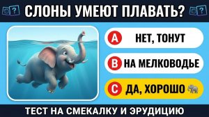 Тест на эрудицию: 60 вопросов, которые запутают даже знатока!