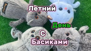 Летний день с басиками🤩📚