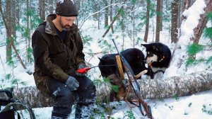 ТАЁЖНЫЙ СЕЗОН 2025-2026 - ПРОДОЛЖЕНИЕ: ДОБЫВАЮ СОБОЛЕЙ, ОБУСТРАИВАЮ ЗИМОВЬЁ, ОТКРЫВАЮ ПУТИКИ