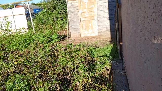 Доброе утро!

Гостим вдали от городской суеты!