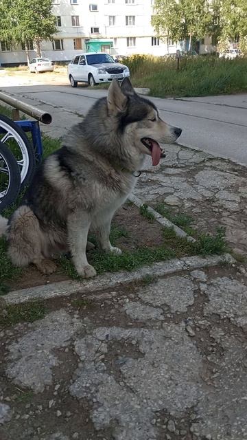 охрана
