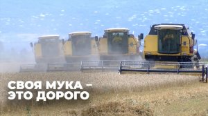 Почему Грузия не может обеспечить себя собственной мукой?