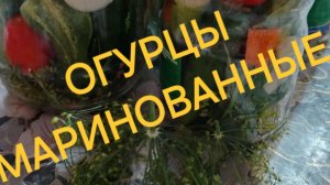 Огурцы маринованные.