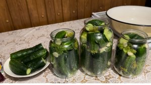 Николай выкашивает траву.Я консервирую огурчики.Покупкой довольны!