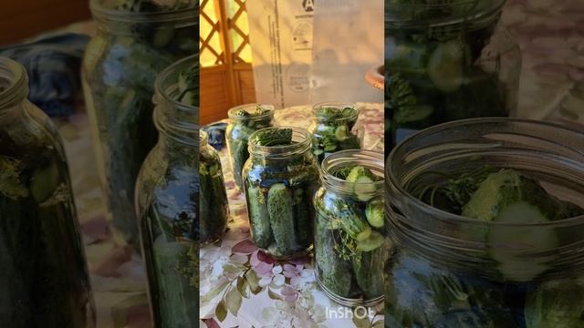 Консервируем лето в банки для зимы.