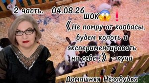 2 часть. ШОК 😱❗️《Не помру от колбасы,будем КОЛОТЬ И ЭКСПЕРИМЕНТИРОВАТЬ  на себе❗️》- куча.