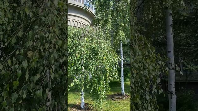 Детский город Бригантина в Москве, лето 2026