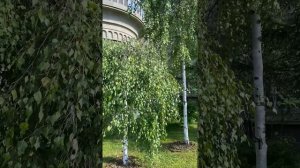 Детский город Бригантина в Москве, лето 2026