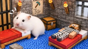Хомяк сбегает от охранника в тюремном лабиринте в Minecraft — лабиринт для хомяка