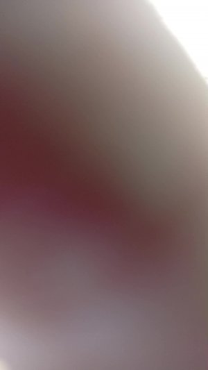 прив пираты