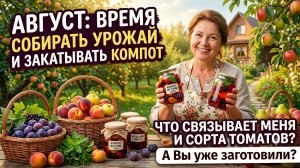 Август. Пришло время делать заготовки: сегодня компот. Вопрос: Что связывает меня с сортами томатов