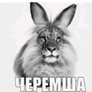 ХАРДКОР