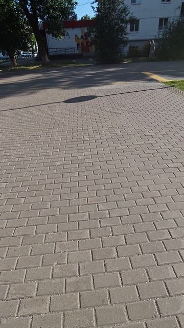 Почем собачка
