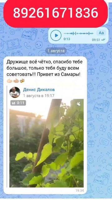 КОЛОНКА HOPESTAR PARTY ONE CLUB 650 Вт Отзыв клиента  из Самары 🔥отзывы Аудиохайп аудио хайп