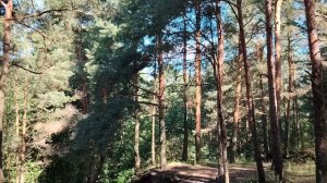 Почему хейтеры лучше тараканов?