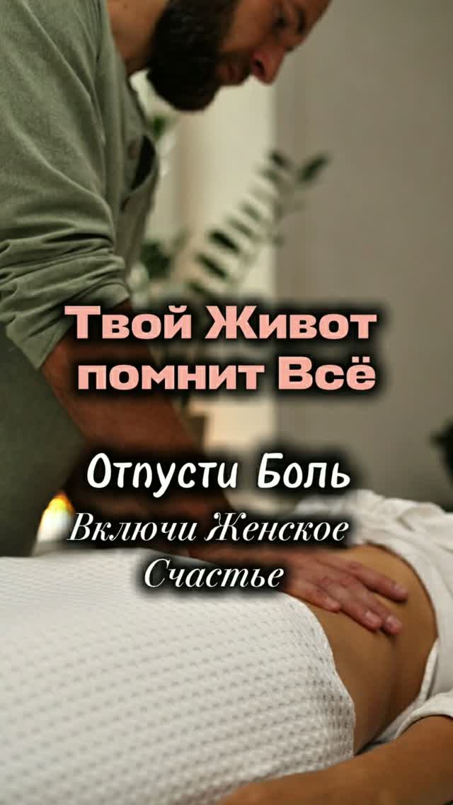 Твой Живот Помнит Всё