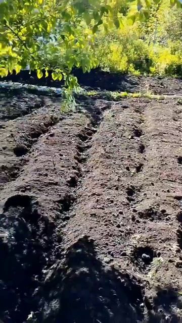 Вспашка земли Магнитогорск