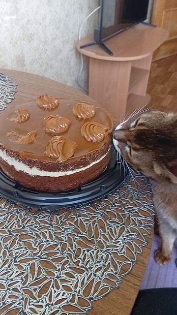 Мои красотки 👐💕👐
