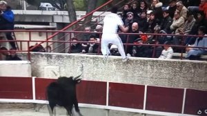 Рыма чек - ласковый голос   короткое платье . рядом  ивашка