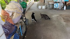 Встречайте мы приехали