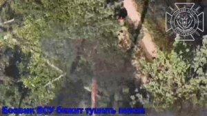 💥Очередной пикап вместе с украинскими националистами уничтожен в Харьковской области