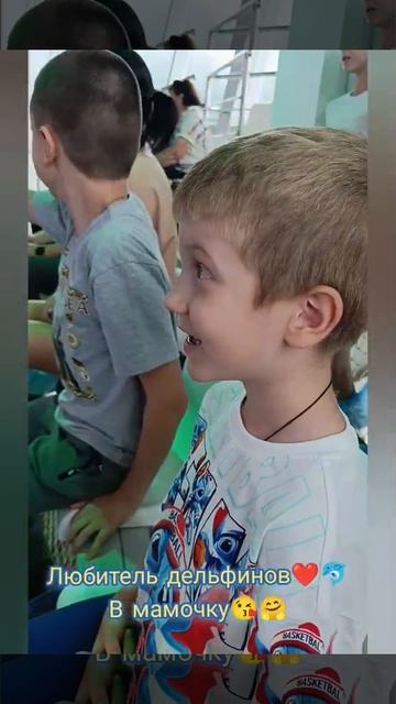 Пацан смотрит шоу дельфинов. Реакция.