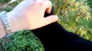 БАРСИК 2014 ГОД АРХИВ