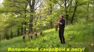 Волшебный саксофон «Релакс в лесу и на снегу» (Опус ИИ)