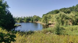 ❌ Взаимные подписки ❌ ЗА или ПРОТИВ ❌ Блогеры лицемеры и лжецы ❌