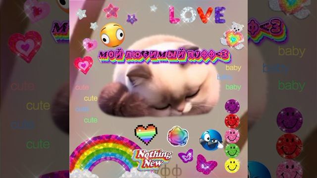 мой пуффик💞💞💕💕💗💗