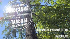Ансамбль русской песни «Маков цвет» - «Ой на горке калина»