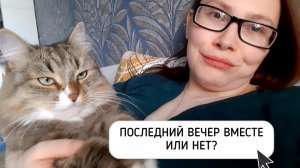 ЖДУ МУЖЧИНУ, ДЕЛАЮ ДЕЛА