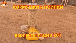 Кормушки и поилки для кур своими руками (281) 🪚✂️ Пошаговая инструкция как сделать 🐔 🐓❣️
