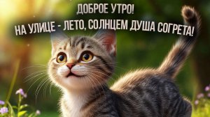 Доброе утро августа! Шикарная музыкальная открытка.